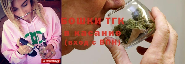 ГАЛЛЮЦИНОГЕННЫЕ ГРИБЫ Абаза
