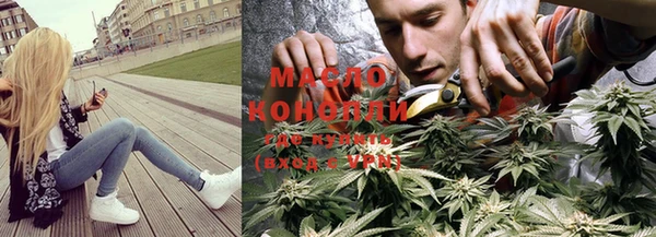 гашик Каменка