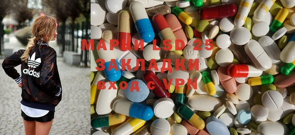 ГАЛЛЮЦИНОГЕННЫЕ ГРИБЫ Абаза