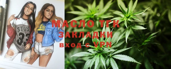 прущая мука Дмитриев