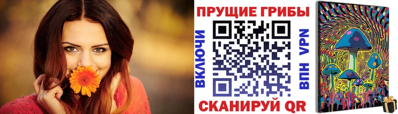 мориарти как зайти  Куровское  Галлюциногенные грибы Magic Shrooms 